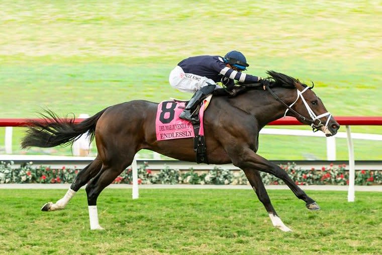 Endlessly, shown winning the Grade III Del Mar Juvenile Turf in September, is the morning-line favorite for Saturday's El Camino Real Derby on the Golden Gate Fields all-weather track. Benoit Photography, courtesy of Del Mar Thoroughbred Club