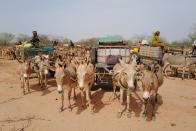 The Wider Image: Senegalese plant circular gardens in Green Wall defence against desert