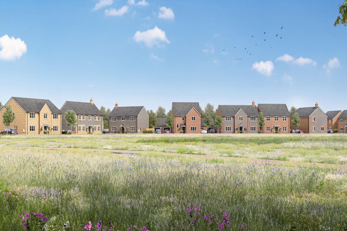 CGI of Allison Homes East's Wootton Grange development <i>(Image: Allison Homes East)</i>