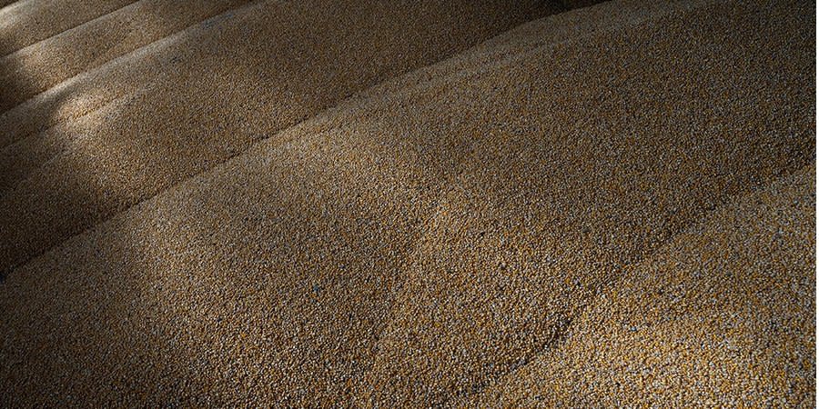 African leaders call on Russia to immediately renew the grain deal