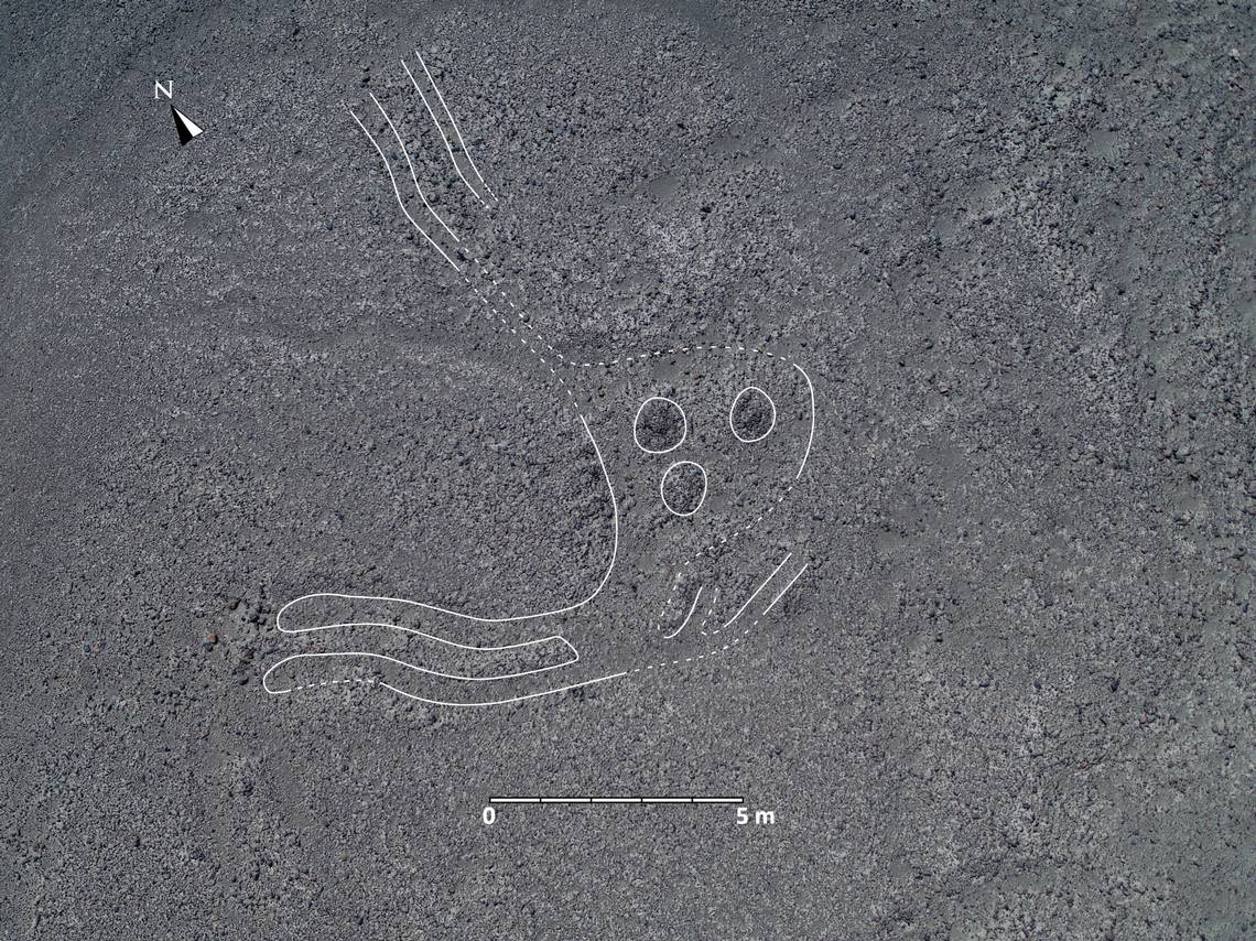 A rabbit-looking geoglyph.