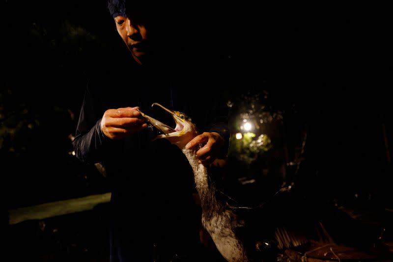 The Wider Image: Environmental change threatens what's left of Japan's cormorant fishing legacy