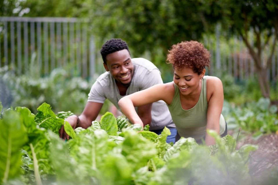 Gardening is a great way to engage with nature. Getty Images