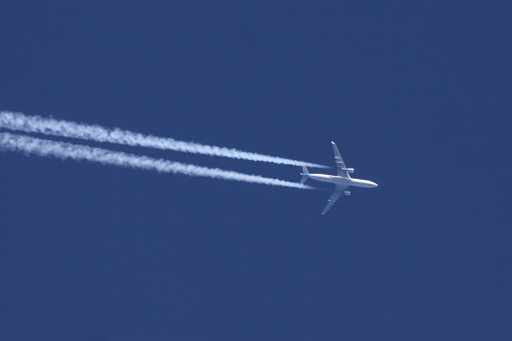 Google will begin including carbon emissions information in Google Flights search.  Dean Morley / Flickr