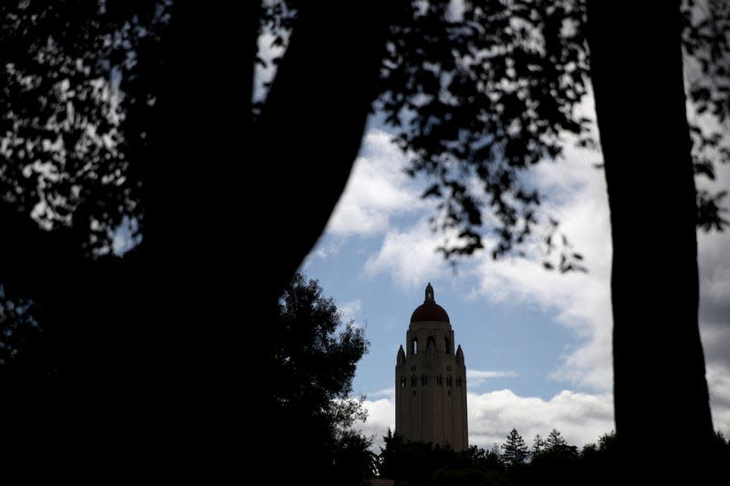 A view of Stanford campus through the trees.