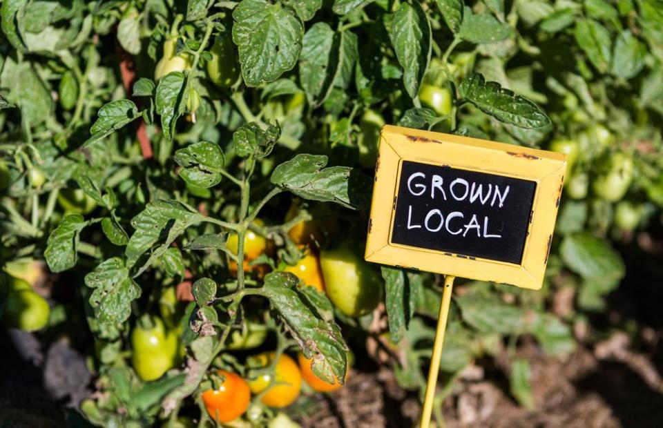 The difference between local food and sustainable food