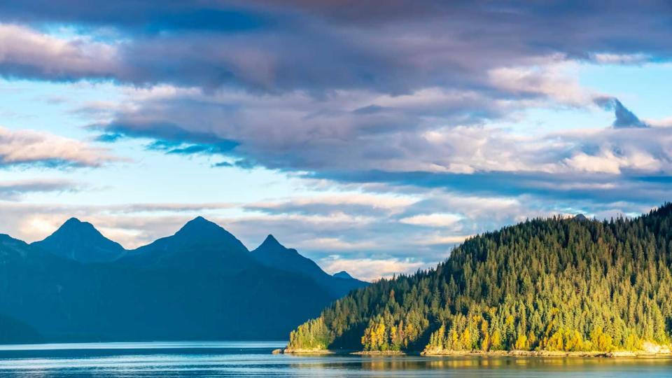 Alaskan Fjord with Sunlit Forested Headland