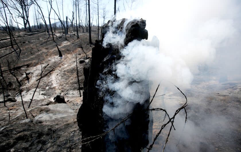 MARIPOSA, CALIF. - JULY 27, 2022. A tree stump smolders in a moonscape created by the Oak fire near Mariposa on Wednesday, July 27, 2022. (Luis Sinco / Los Angeles Times)