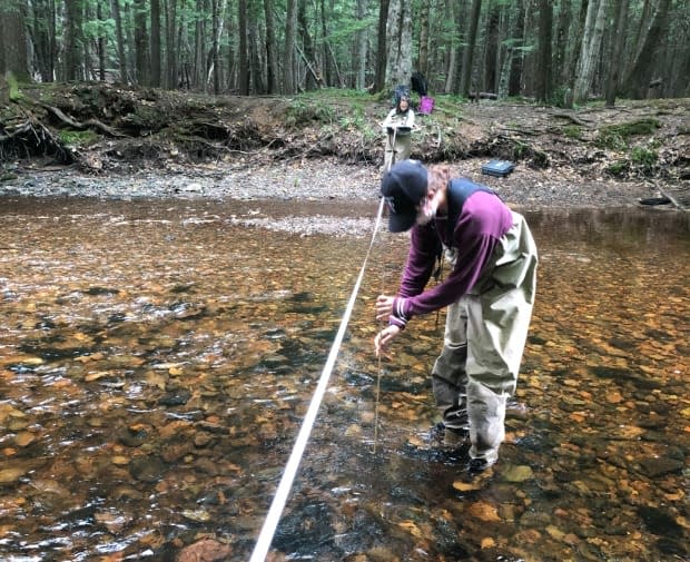 Clean Annapolis River Project