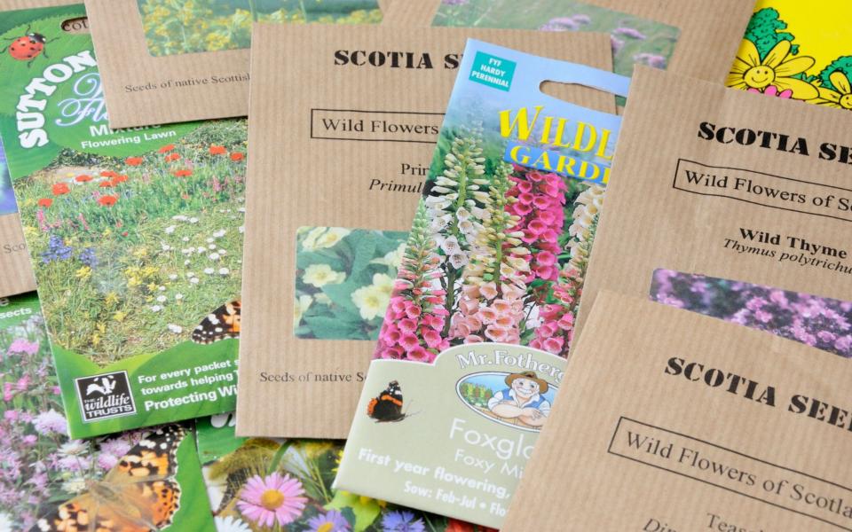 Packets of wild flowers seeds - Credit: Alamy