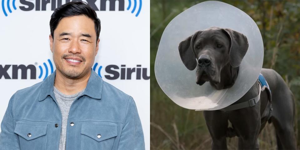 Randall Park voices a character in "Strays."