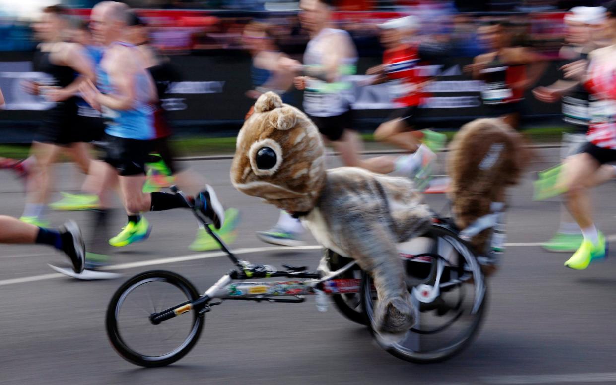 A participant dressed as a squirrel in action