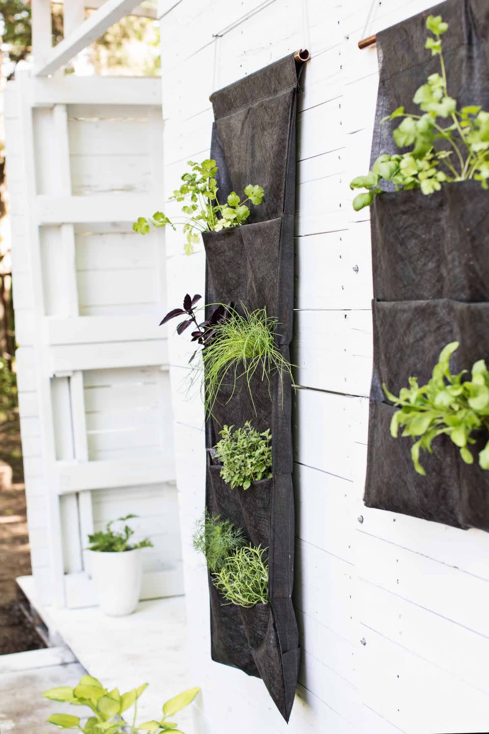 Vertical Herb Garden