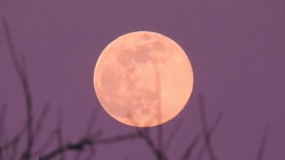 Full Pink Moon 2020 - Riki Christmas/UGC