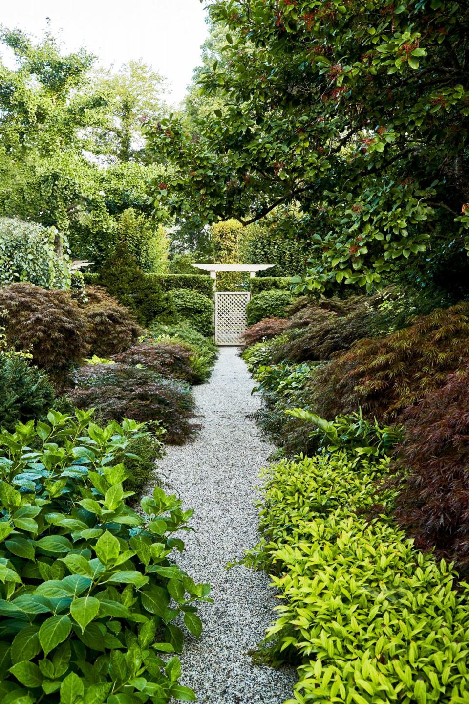 A Leafy Lane