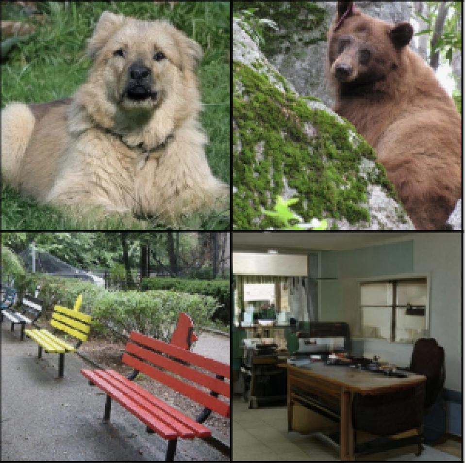 Photo of a dog (top left) and photo of a red bench (bottom left), alongside photos generated by AI from human brain waves.