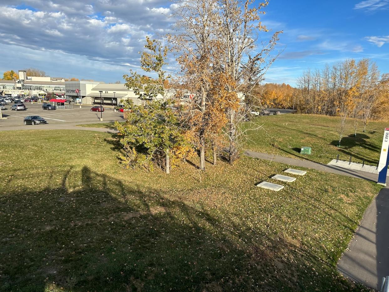 This grassy expanse at Glenmore Landing retail plaza at 14th Street S.W. and 90th Avenue could one day make up part of the site of the new proposed residential towers. (Mike Symington/CBC - image credit)