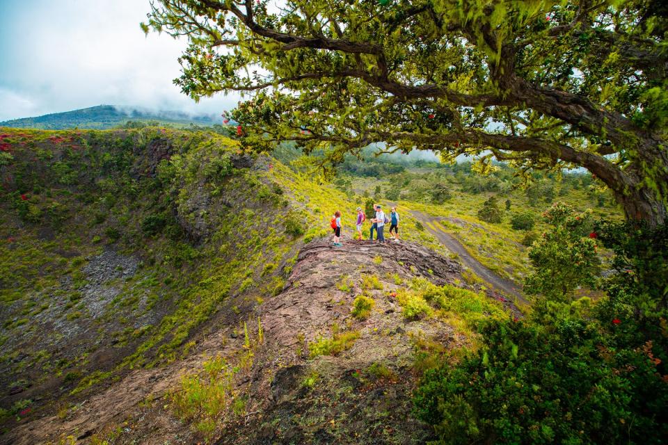 A group hiking with Hidden Craters Hike