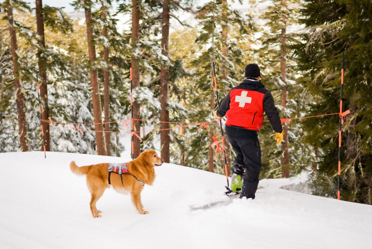 Ski patroller and rescue dog setting up ropes