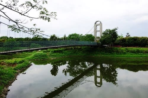 【賞花之旅】白河蓮花季，仲夏蓮香荷田田