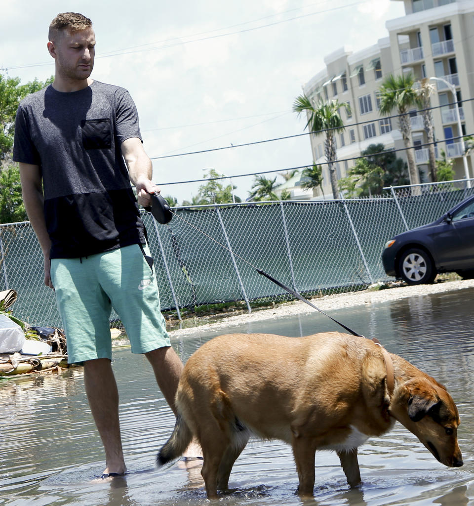 In this June 19, 2019 photo, 27-year-old Ben Honeycutt walks his dog through a flooded Miami street that has drained slowly after rain. ome consider Miami the Ground Zero for any climate-related sea level rise in the U.S. Many local residents and community leaders will be listening keenly for any proposals to stave off the effects of rising seas. (AP Photo/Ellis Rua)