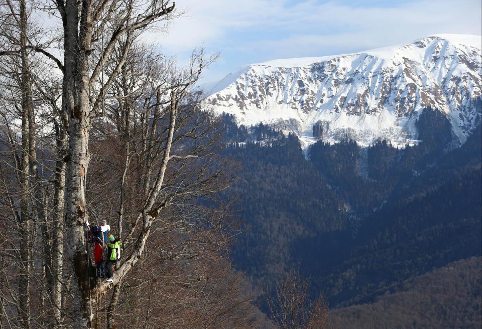 Coaches perch in a tree to watch the downhill portion of the women's supercombined at the Sochi 2014 Winter Olympics, Monday, Feb. 10, 2014, in Krasnaya Polyana, Russia. (AP Photo/Alessandro Trovati)