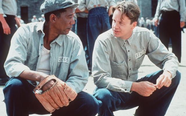 Tim Robbins and Morgan Freeman starred in The Shawshank Redemption
