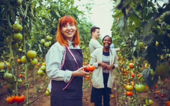 Granotec - Las principales tendencias en alimentos y bebidas