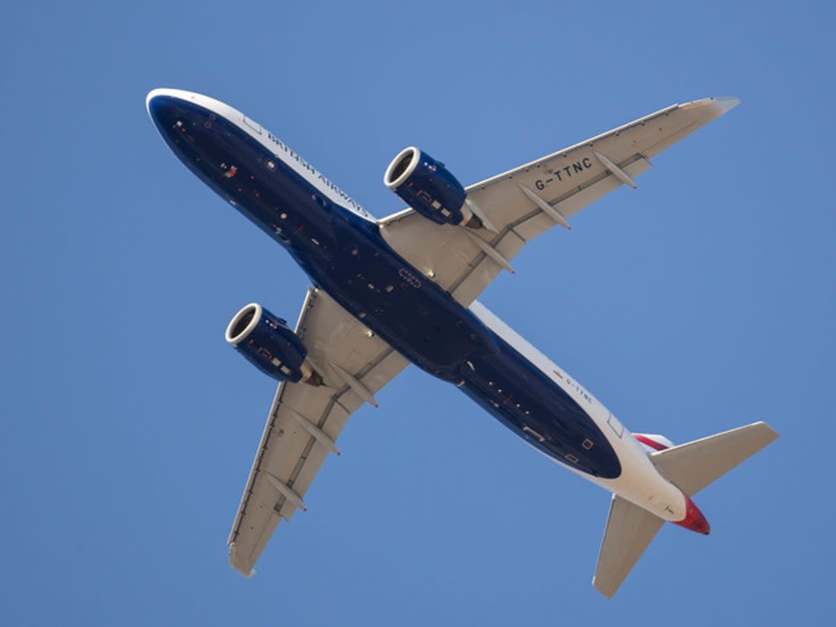 High life: British Airways Airbus A320, as used on the airline’s European routes (British Airways)