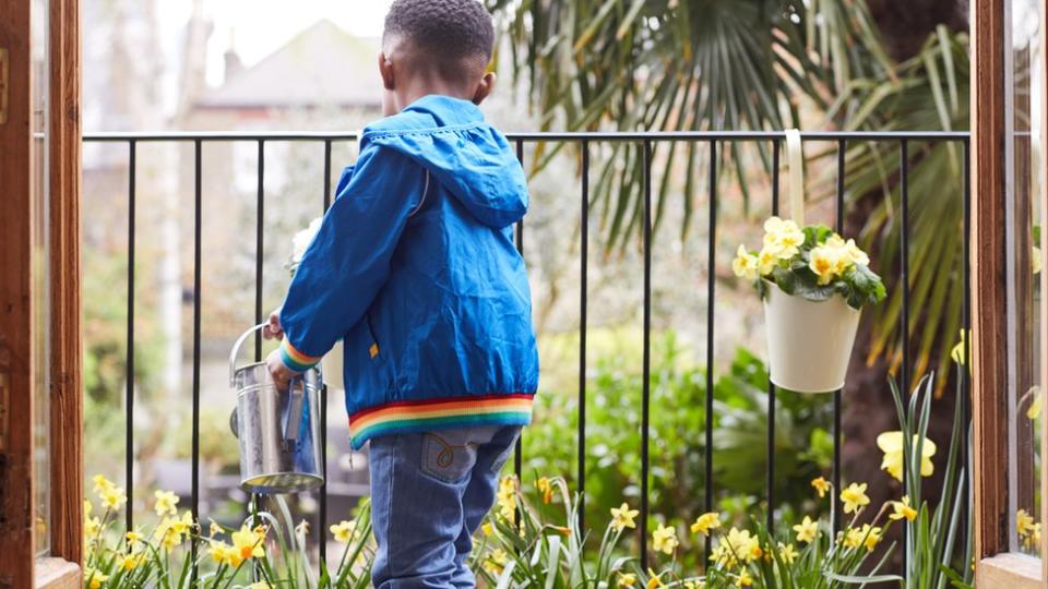 Un niño riega unas plantas