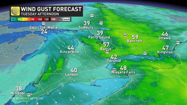 More Snow Sneaking Into Southern Ontario Following Last Weeks Winter Storm 2665