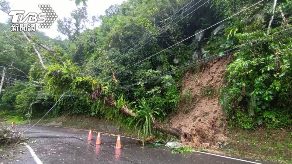 路樹倒塌壓電線造成清水地熱跳電。（圖／TVBS）