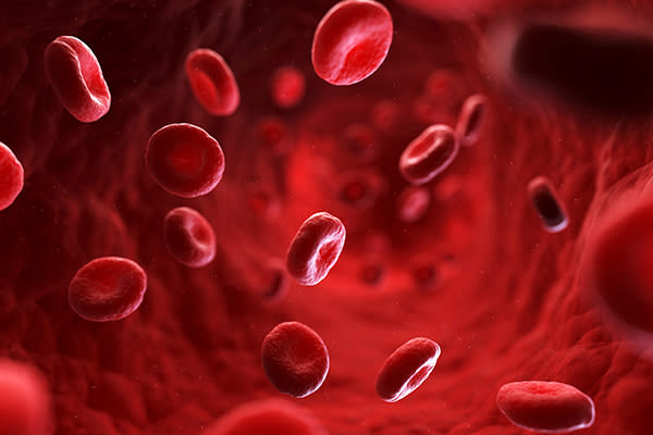 Al parecer, tu tipo de sangre podría influir en la forma en que tu cuerpo aprovecha los alimentos. Foto: SCIEPRO/Getty Images