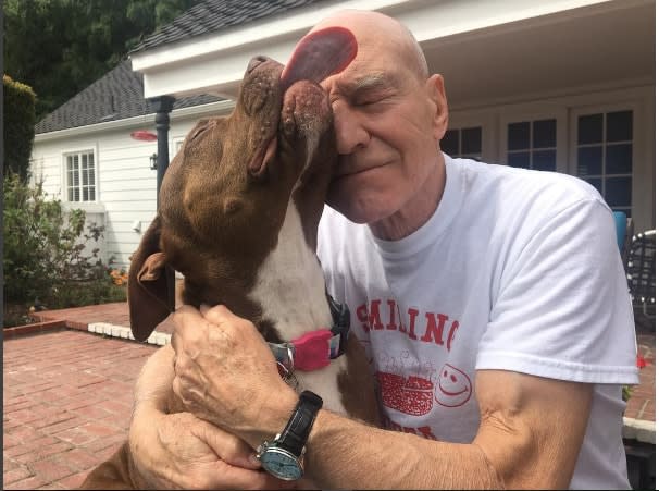 Patrick Stewart shared how fostering a pit bull has changed his life, and get ready to cry