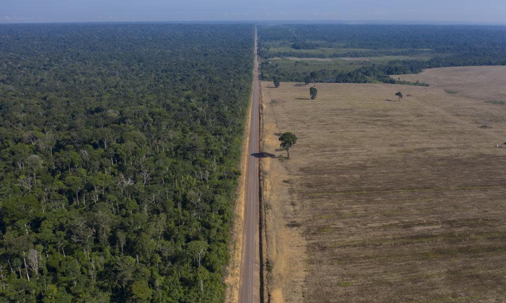 <span>Photograph: Léo Corrêa/AP</span>