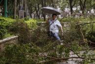 A man walks over fallen branches on a pavement at a residential district after Typhoon Usagi hit Hong Kong September 23, 2013. A powerful typhoon hit Hong Kong and the southern China coast on Monday, killing at least 20 people on the mainland, crippling power lines and causing flooding and gale force winds. Typhoon Usagi, the strongest storm to hit the Western Pacific this year, began pounding the Asian financial centre late on Sunday. More than 370 flights were cancelled. REUTERS/Bobby Yip