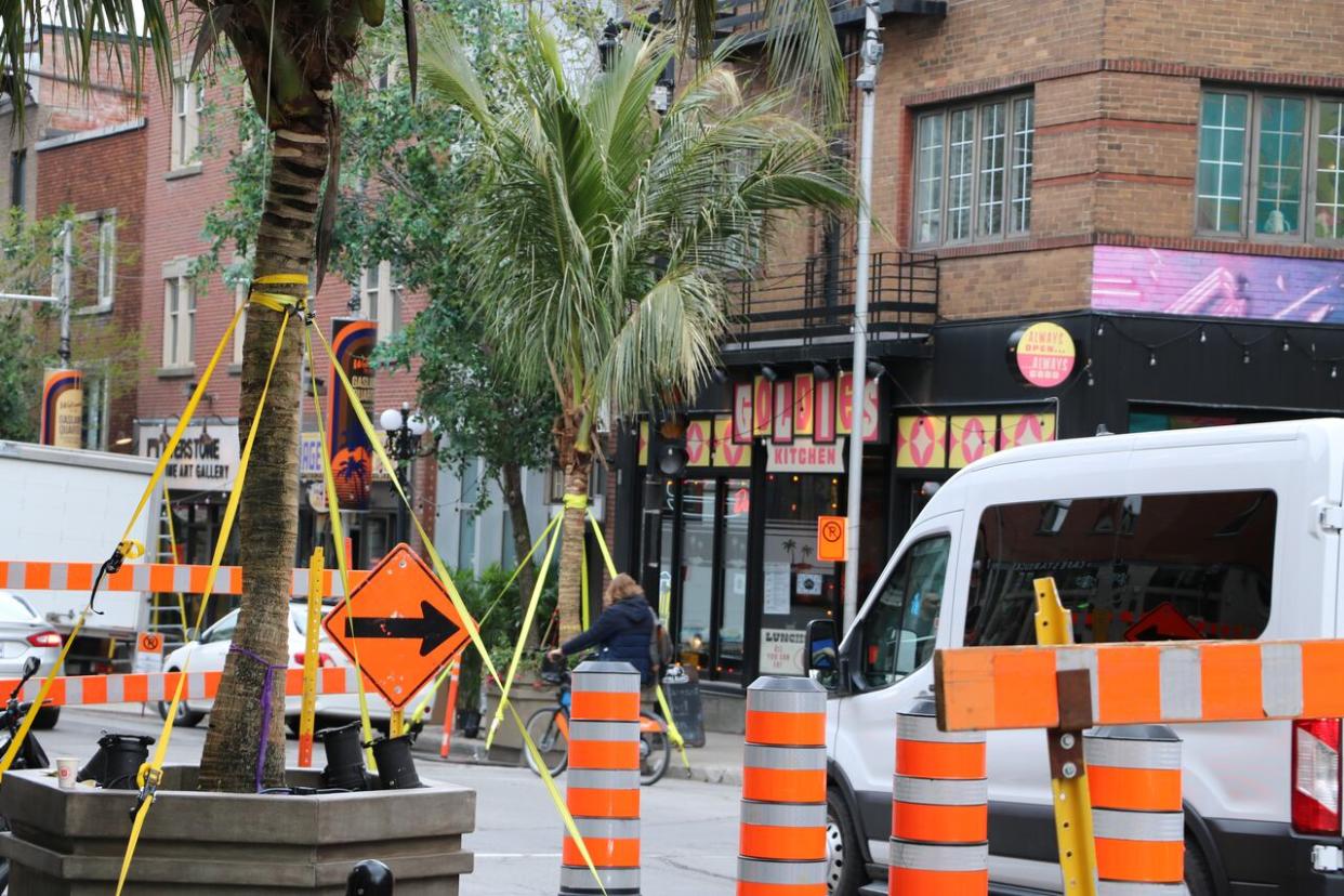 A mix of palm trees, orange cones, detour signs and white box trucks line Ste-Catherine Street in Montreal's Village neighbourhood. (Isaac Olson/CBC - image credit)