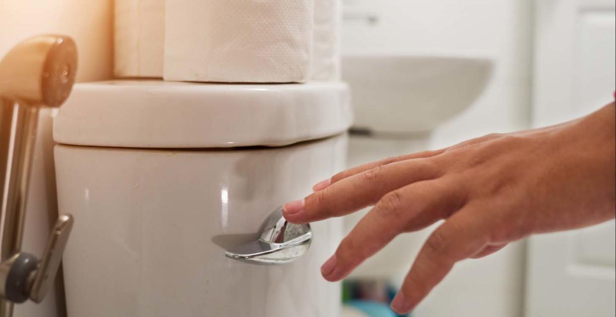 A hand reaches out to flush a toilet.