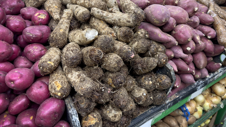 Tubers for sale at market