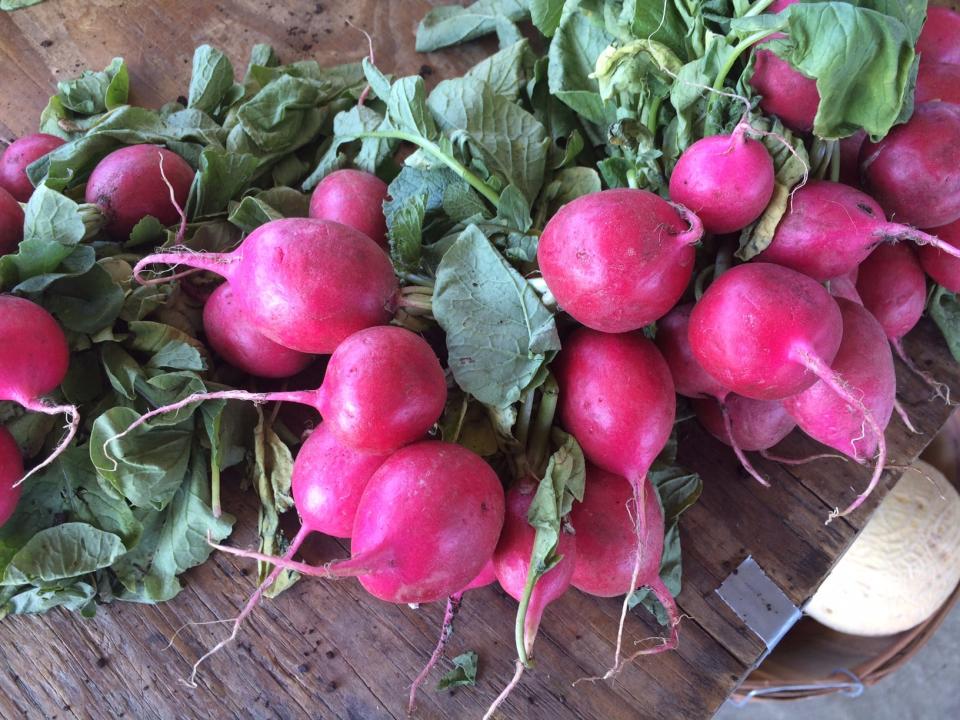 Radishes from the Farmers Market.