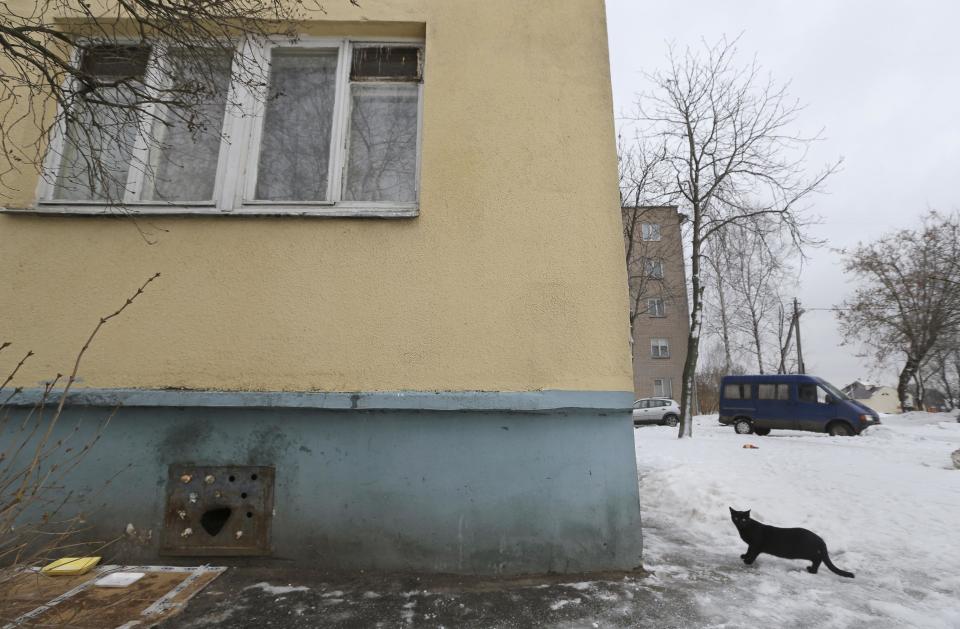 A stray cat walks outside an apartment building with an iron panel covering a basement window in the Belarusian capital Minsk, Monday, Feb. 4, 2013. Municipal authorities in Belarus have walled up stray cats in basements in compliance with Soviet-era regulations, dooming them to death of hunger. But some residents made holes for cats to escape. (AP Photo/Sergei Grits)