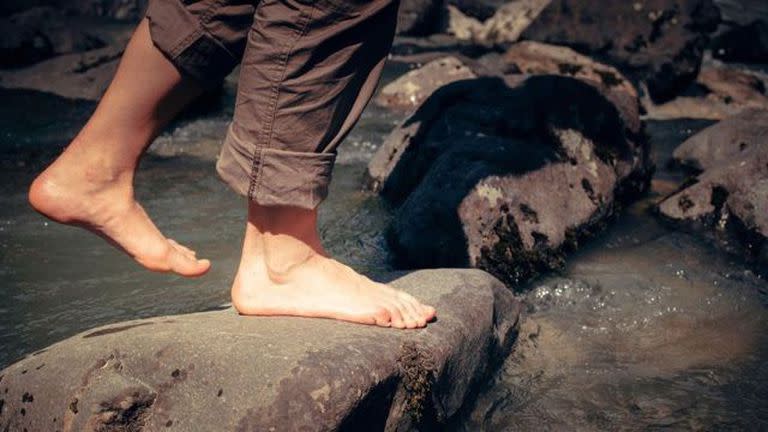 Las arrugas podrían haberle dado a nuestros ancestros una ventaja clave cuando tenían que caminar sobre rocas o agarrando ramas