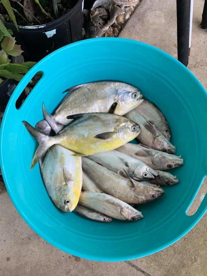 When surf conditions relent, we assume the pompano and whiting will again be jumping into buckets.