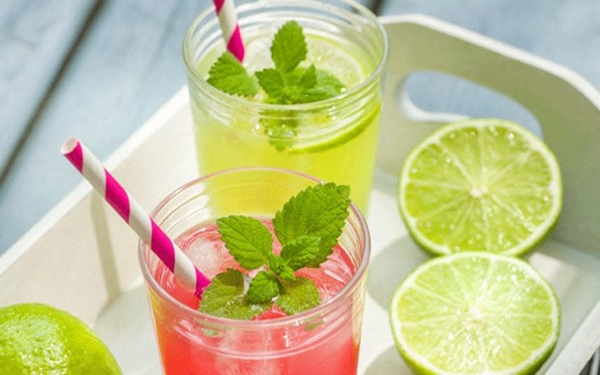 In the spirit: these thirst-quenching cocktails will make a barbecue go with a bang  - Alamy