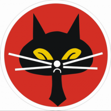 我國空軍第三十五中隊（即有名的「黑貓中隊」）的隊徽。（維基百科／公用領域）