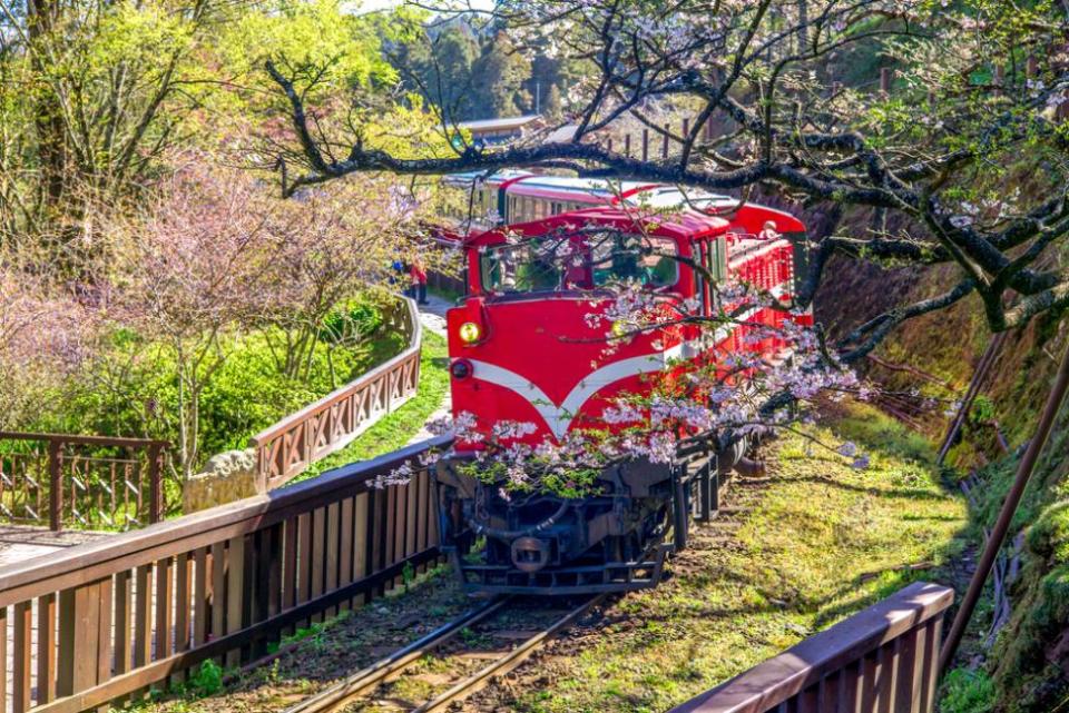 [Buy 1 Free 1] Chiayi 2-Day Tour: Alishan and Zhushan Forest Railway - Double Room. (Photo: KKday SG)