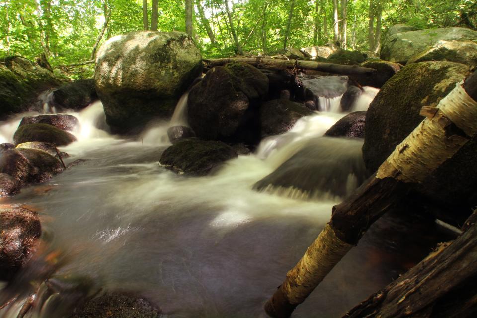 The Beaver River, a tributary of the Pawcatuck, is federally protected as part of the National Wild and Scenic Rivers System.