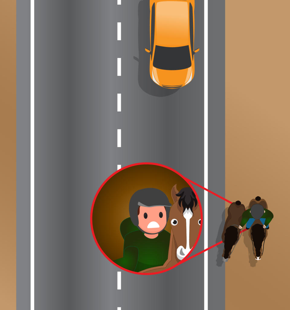 A car is pictured driving behind a person with two horses.