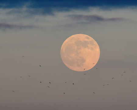 The first full moon of 2019 rises off the shore of Tenby, Pembrokeshire, Wales, Britain January 20, 2019. REUTERS/Rebecca Naden