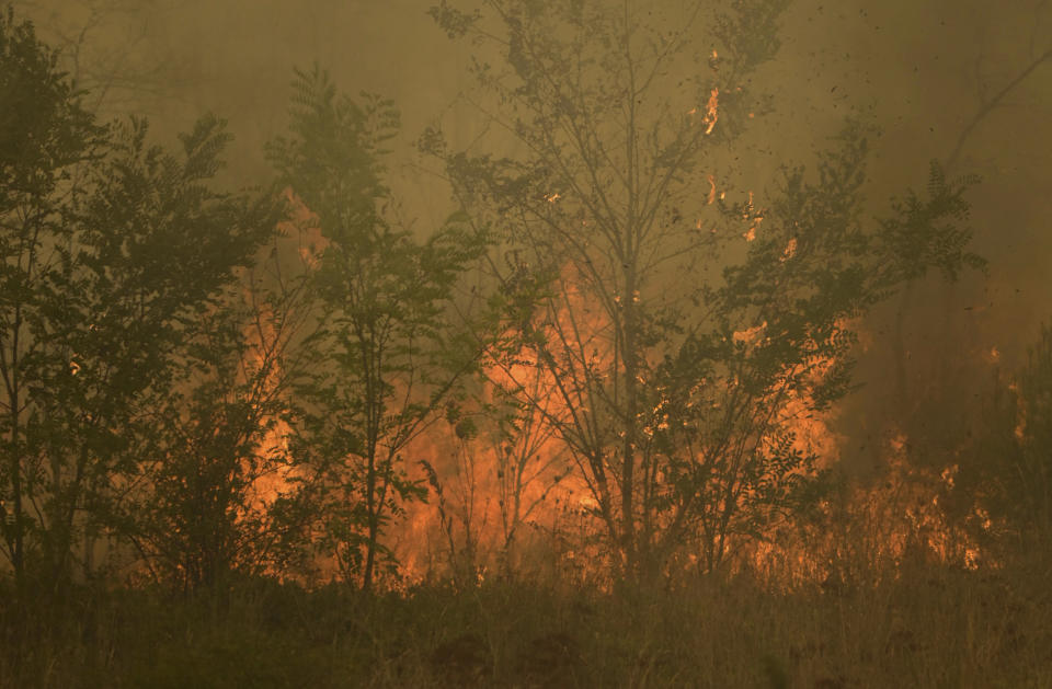 Flames burn a forest during a wildfire in Giannouli village, in the northeastern Evros region, Greece, Thursday, Aug. 31, 2023. Greek authorities have further reinforced firefighting forces in the country's northeast, where a massive blaze in its thirteenth day has flared up once more, triggering authorities to issue alerts to residents in the area to be on standby for possible evacuation. (e-evros.gr via AP)